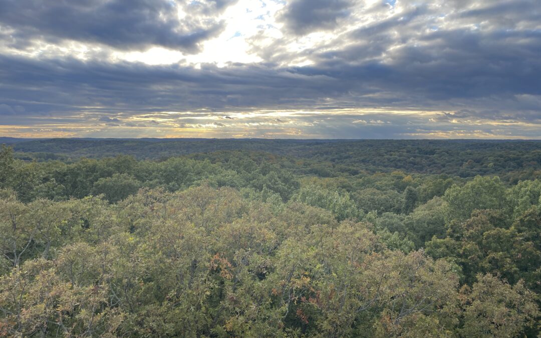 Wandering Indiana ~ Fall is in the Air and All Around