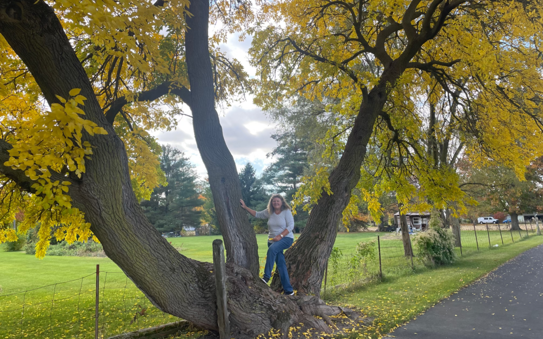 Wandering Indiana ~ Taking Advantage of Beautiful Fall Days