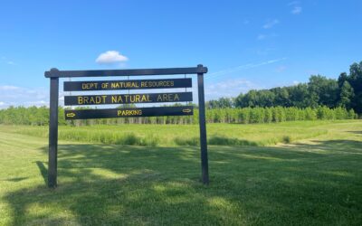 Wandering Indiana ~ Suggestions and Trails to Check Out this Summer