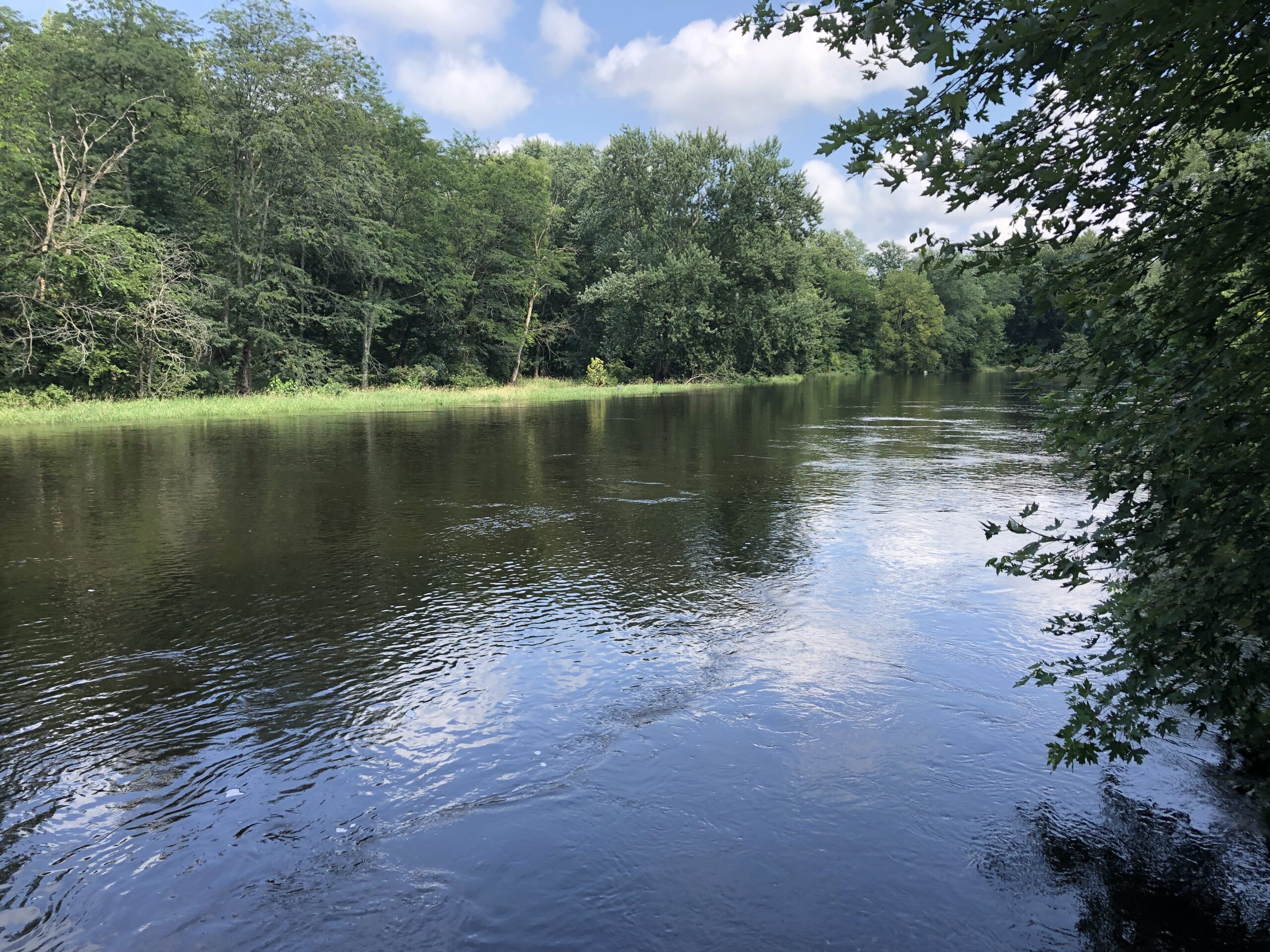 Wandering 2_Tippecanoe River State Park