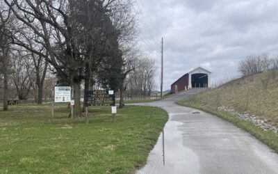 Wandering Through Indiana: Courthouse Squares, Forest Trails, and Flooded Roads